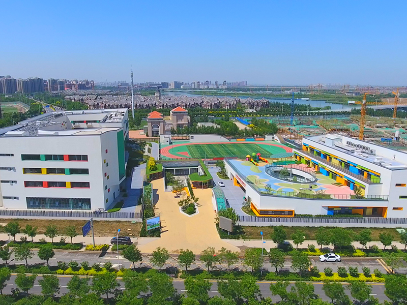 29�ŵؿ鹤��